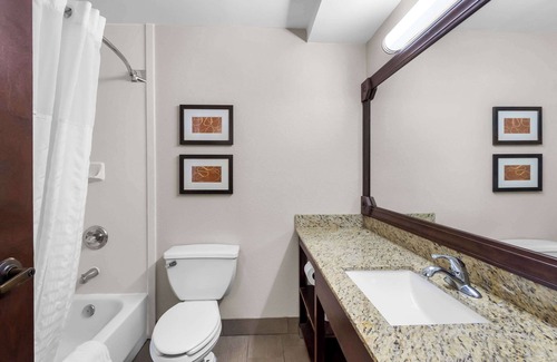 Sumter Hotel | Comfort Suites Sumter