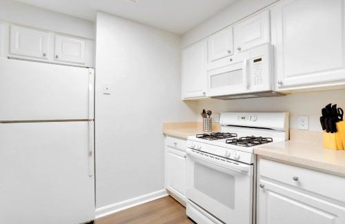 Ballston Apartment | Comfortable and Stylish Apartment