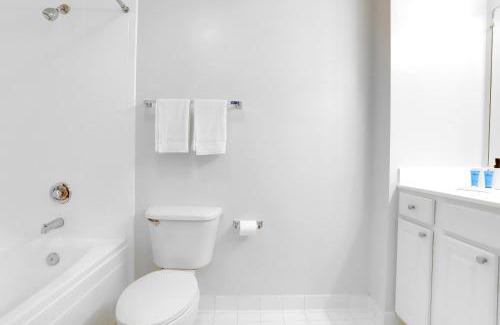 Ballston Apartment | Comfortable and Stylish Apartment