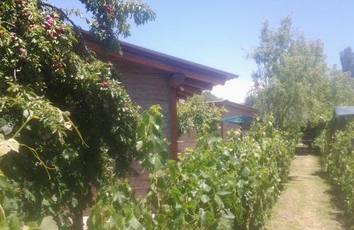 San Rafael Cabin | Complejo Los Ciruelos