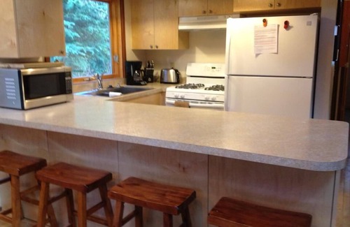 Alyeska Ski Chalet | Conveniently Located - Peaceful Chalet w/mountain views, firepit, gas BBQ