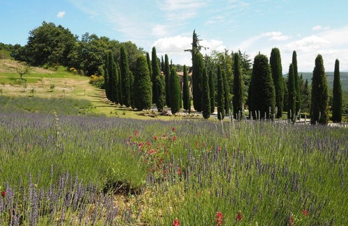 San Gimignano Apartment | Cornocchio - Cornocchio 1