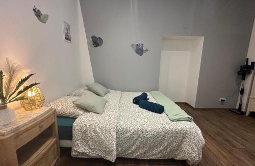 Centre Ville Apartment | Cosy Pétunia - T2 - Centre ville