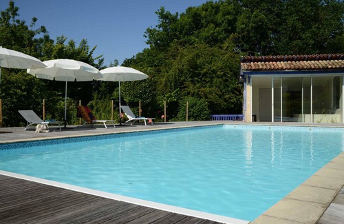 Saint Palais Cottage | Cottage 4 stars between vineyards and woods, near the Gironde