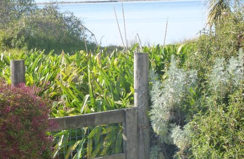 Motueka House | Cottage by the Beach