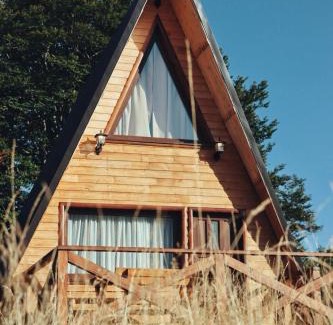 Zabljak Ski Chalet | Cottage Forest Hill