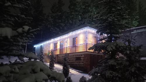 Tsaghkadzor House | Cottage Green Garden
