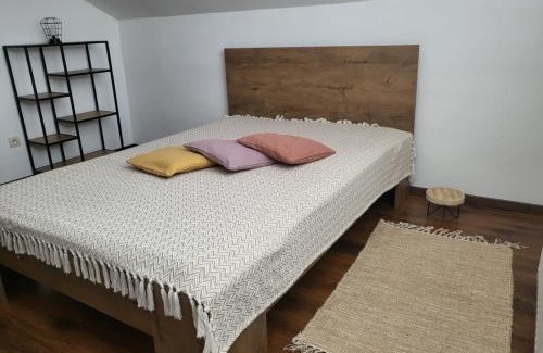 Paca House | Cottage House