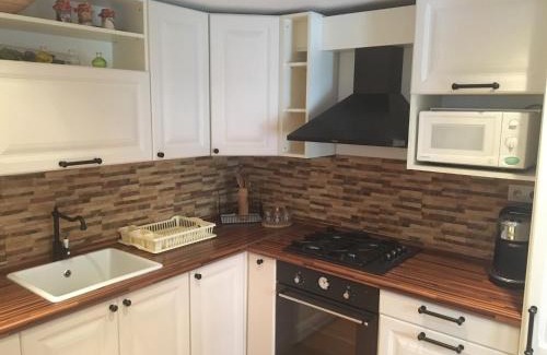 Paca House | Cottage House