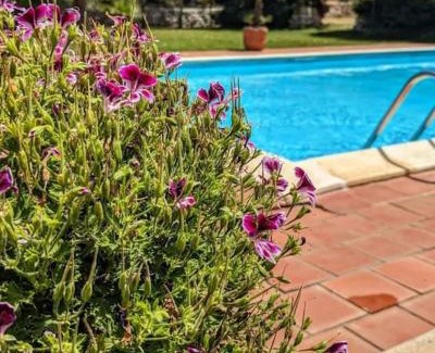 San Corrado di Fuori Villa | Cottage Sant Elia - Country Retreat