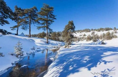 Zlatibor Ski Chalet | Cottage Vodice 2, Zlatibor