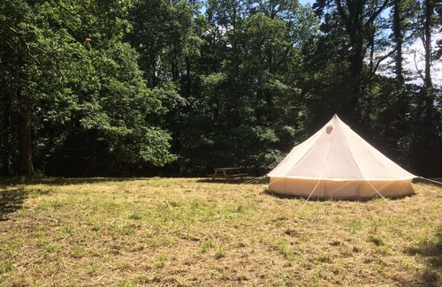 Buckfastleigh House | Country House With Bluebell Wood In Dartmoor National Park
