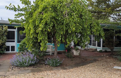 Rehoboth by the Sea Cottage | Cozy 2 BR Cottage steps from the Beach. Pet Friendly.