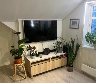 Trondheim Apartment | Cozy apartment on the hill