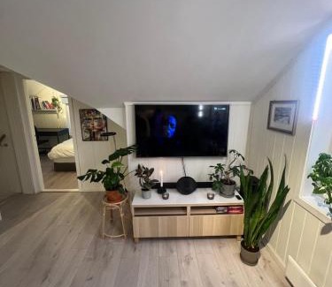Trondheim Apartment | Cozy apartment on the hill