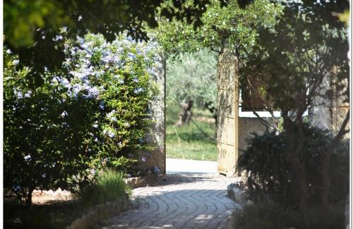 Korithion House | Cozy home with great view in Ancient Corinth