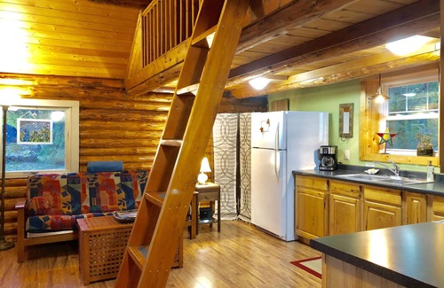 Nelson Cabin | Cozy Log Cabin in Pristine Nature