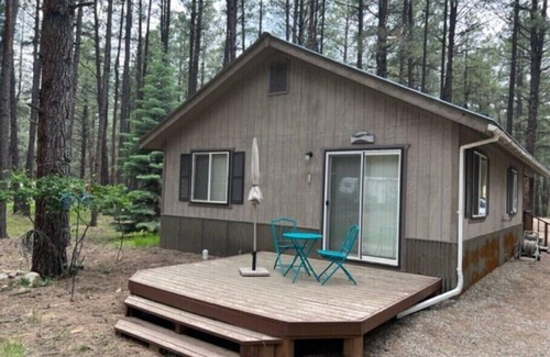 Vallecito House | Cozy retreat in the pine trees seconds to the river & couple of minutes to Vallecito Lake and a beautiful drive to Durango