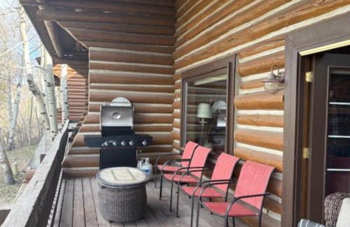 North Park City House | Crescent Cabin in the Woods