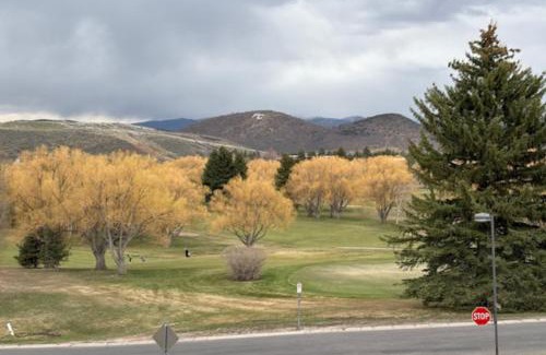 North Park City House | Crescent Cabin in the Woods