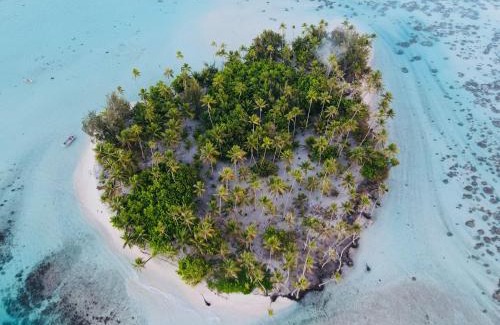 Bora Bora Boat Rental | Croisière paradisiaque à Bora bora