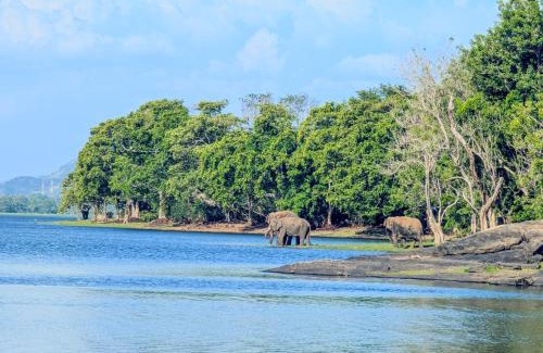 Bibile Other | Crystal Water Inn