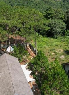 Kon Plong Cabin | Dốc mộng mơ homestay & villa