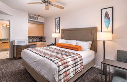 South Scottsdale Resort | Desert Oasis-Resort Fun