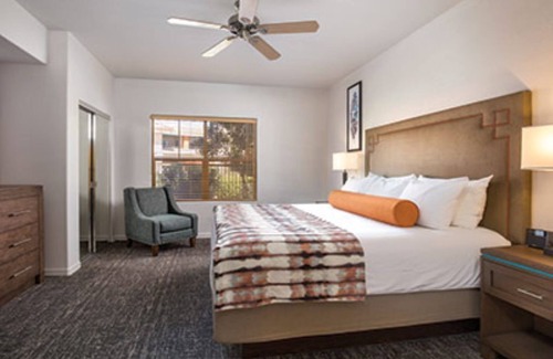 South Scottsdale Resort | Desert Oasis-Resort Fun