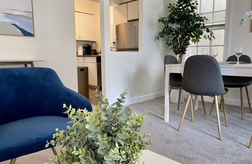 Dupont Circle Apartment | Destination Dupont - Deluxe Living, Spacious, Bright & Central!