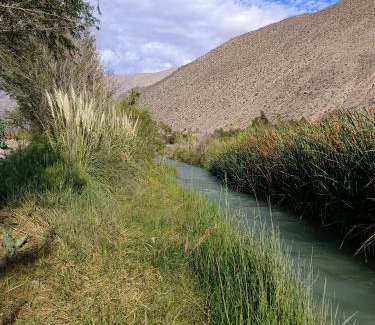 Vicuna House | DIAGUITAS, VICUÑA, VALLE DEL ELQUI