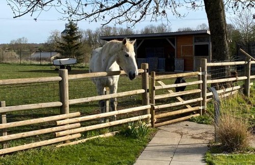 Bernecourt Apartment | Domaine Nature Vacances