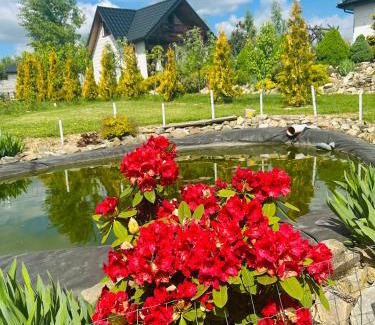 Krajno Pierwsze Apartment | Domek caloroczny Panorama Swietokrzyska