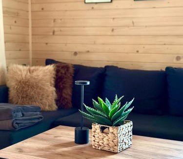Solina House | Domek Nida