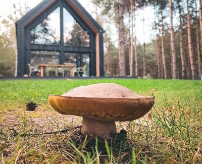 gmina Rozogi House | Domek w Lesie