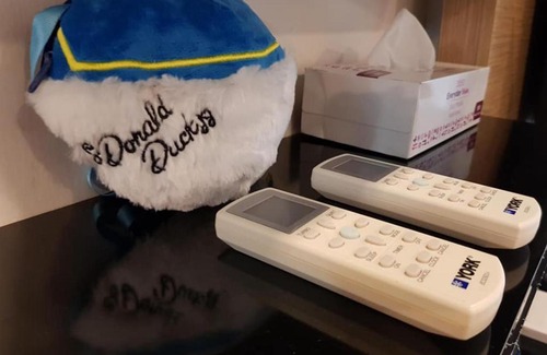 Taman Century Apartment | Donald Duck Theme Homestay JB