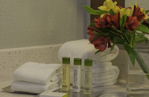 Green Tree Hotel | DoubleTree by Hilton Pittsburgh - Green Tree