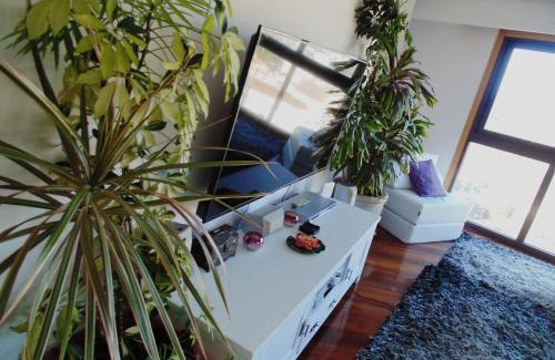 Ourense Apartment | Duplex grandes cristaleras impresionantes vistas