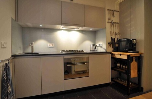 Haarlemmerbuurt Condo | Dutch/Japanese Connection Styled Condo In Amsterdam Centre