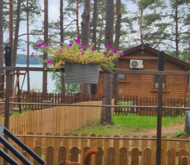 gmina Karsin Resort | Dzik w zagrodzie