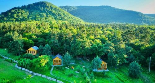 Armenia House | Eco Park Resort in Stepanavan Dendropark