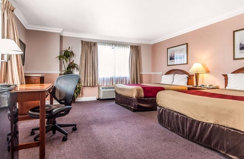 Castro Valley Hotel | Econo Lodge Castro Valley I-580