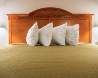 Bay VIew Addition Cabin | Econo Lodge Panama City St Andrews