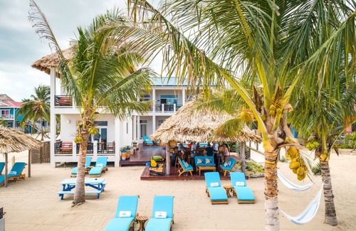 Placencia Resort | Economy Studio beachfront with swim up pool bar