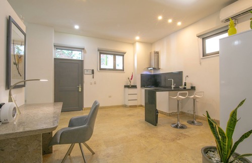 Barrio Centro Apartment | El Cactus Luxury Apartments in Historic Center