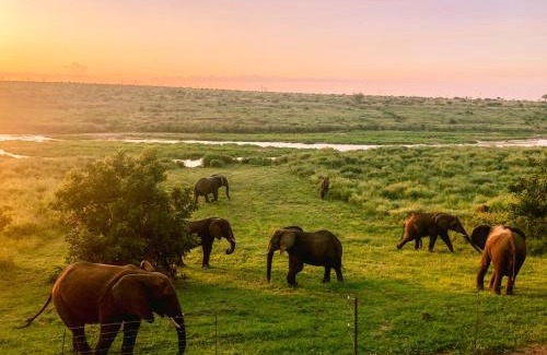 Nkomazi Hotel | Elephant Walk Tented Camp
