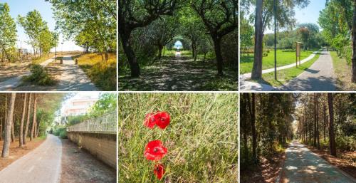 Vasto House | eli 's home