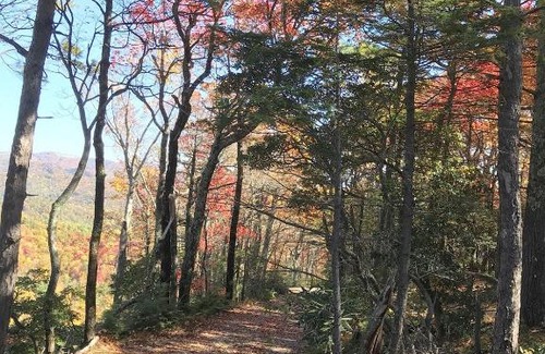 Apple Ridge Villa | Elkhorn Rustic Blowing Rock Cabin Amazing Views