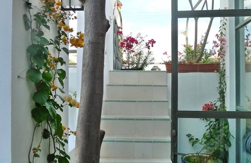 Centro Apartment | Enchanting 3 Room Duplex Casita With Roof Garden Deck In Centro Merida