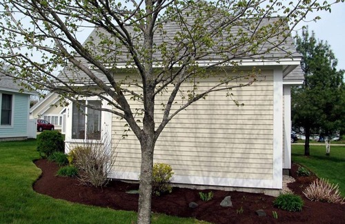 Summer Village Cottage | Enjoy our super "cute" Summer Village cottage!